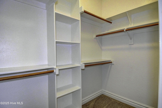 103 Whistling Duck Ct, Moyock, NC 27958 - spacious closet with dark carpet