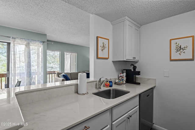 5 Pine Tree Rd Unit 211, Pinehurst, NC 28374 - kitchen featuring a sink, dishwashing machine, a textured ceiling, plenty of natural light, and light countertops