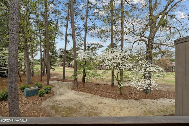 5 Pine Tree Rd Unit 211, Pinehurst, NC 28374 - view of yard