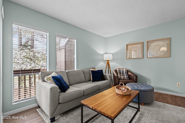 5 Pine Tree Rd Unit 211, Pinehurst, NC 28374 - living room with wood finished floors, baseboards, and a textured ceiling