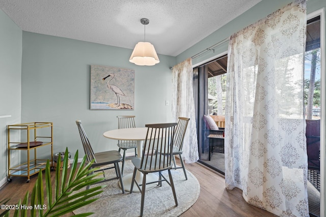 5 Pine Tree Rd Unit 211, Pinehurst, NC 28374 - dining room featuring plenty of natural light, wood finished floors, and a textured ceiling
