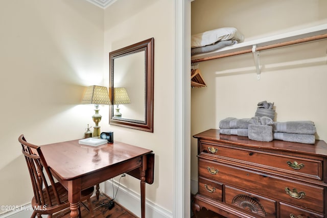 walk in closet featuring wood finished floors