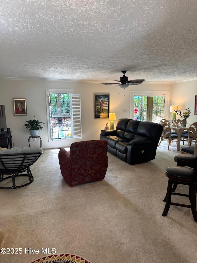 1735 W Pennsylvania Ave, Southern Pines, NC 28387 - living area featuring carpet flooring, healthy amount of natural light, a textured ceiling, ceiling fan, and crown molding