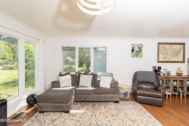 206 Robin Ln, Edenton, NC 27932 - living room with wood finished floors and ornamental molding