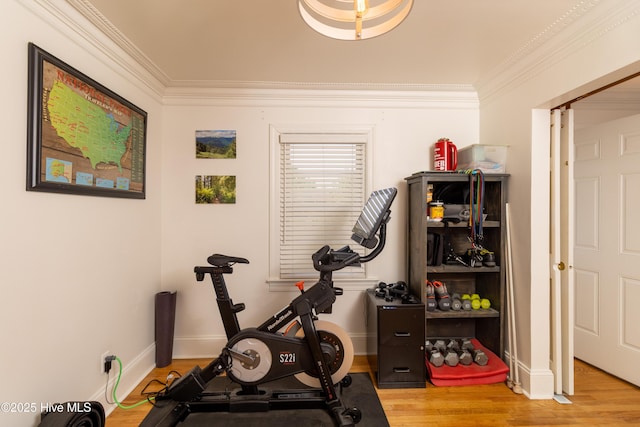 206 Robin Ln, Edenton, NC 27932 - exercise room featuring ornamental molding, wood finished floors, and baseboards