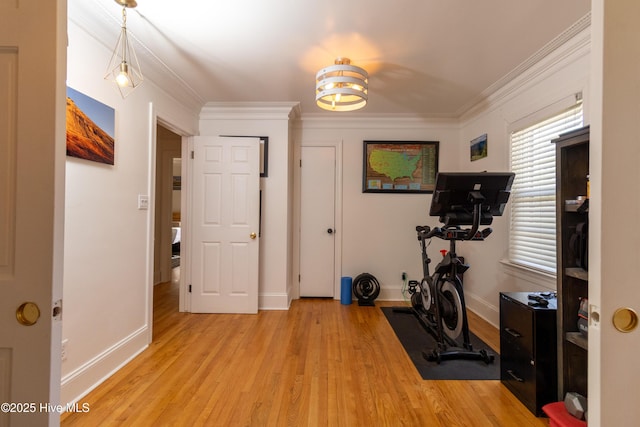 206 Robin Ln, Edenton, NC 27932 - exercise room with light wood-style floors, ornamental molding, and baseboards