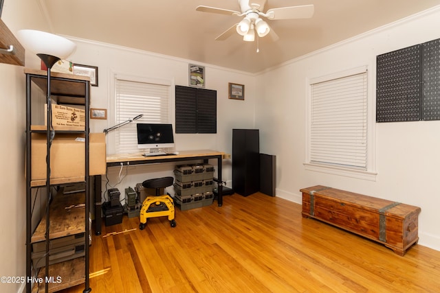206 Robin Ln, Edenton, NC 27932 - office space featuring ceiling fan, wood finished floors, crown molding, and baseboards