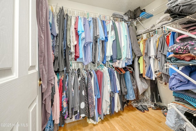 7001 Robert Ruark Dr SE, Southport, NC 28461 - walk in closet featuring wood finished floors