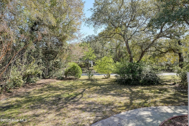 7001 Robert Ruark Dr SE, Southport, NC 28461 - view of grassy yard