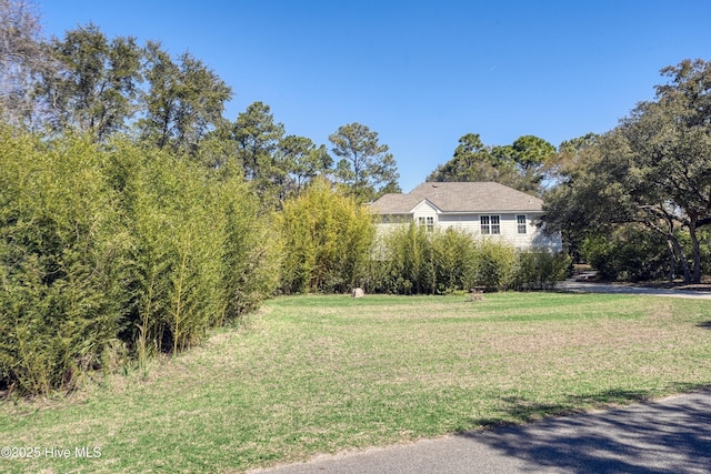7001 Robert Ruark Dr SE, Southport, NC 28461 - view of green lawn