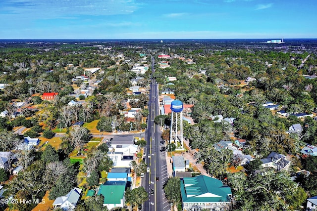 7001 Robert Ruark Dr SE, Southport, NC 28461 - view of property location