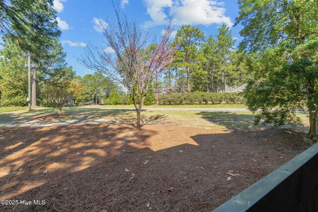 280 Sugar Gum Ln # 165, Pinehurst, NC 28374 - view of yard