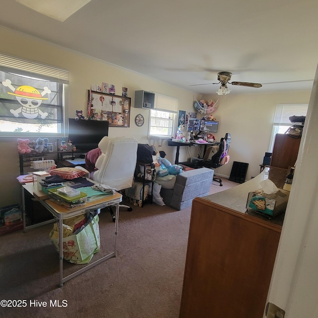 carpeted office space featuring a ceiling fan