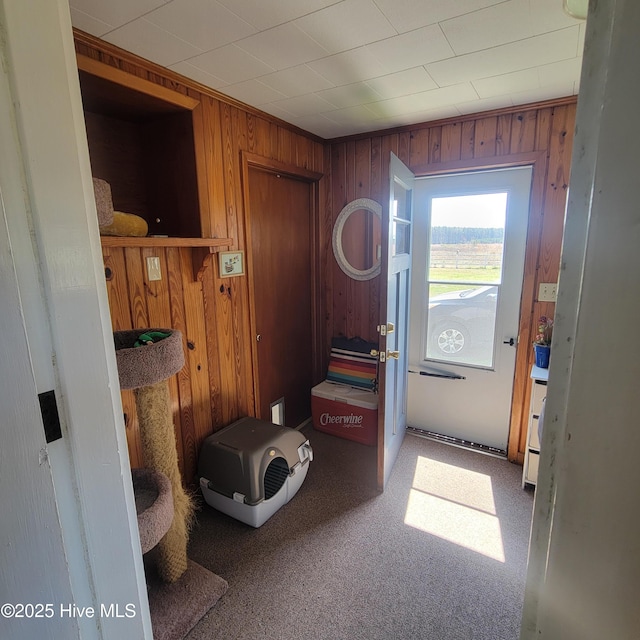 entryway featuring wood walls and carpet
