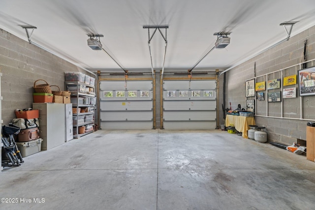 222 Brite Ln, Oriental, NC 28571 - garage with concrete block wall and a garage door opener
