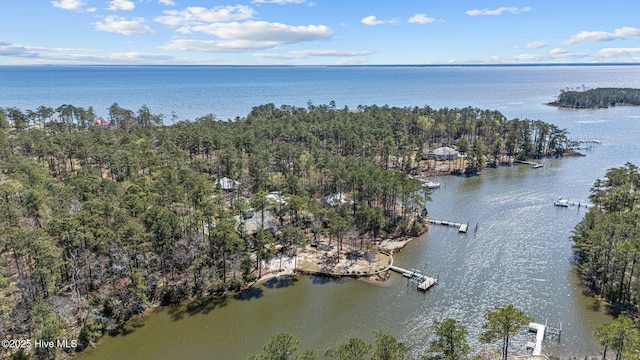 222 Brite Ln, Oriental, NC 28571 - birds eye view of property featuring a water view
