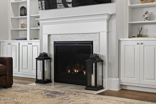 323 Lightning Bug Ln, Holly Ridge, NC 28445 - detailed view of a premium fireplace and wood finished floors