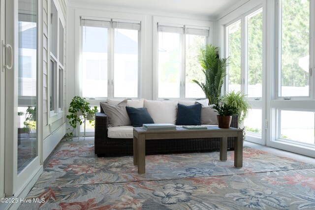 323 Lightning Bug Ln, Holly Ridge, NC 28445 - sunroom featuring carpet floors