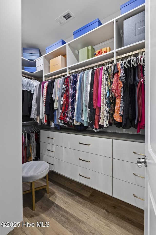 323 Lightning Bug Ln, Holly Ridge, NC 28445 - walk in closet with wood finished floors