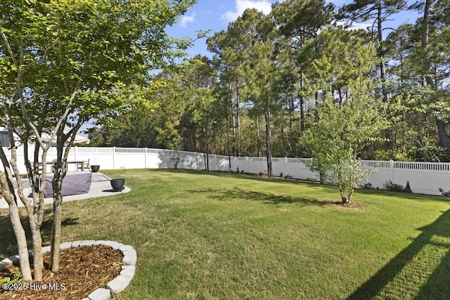323 Lightning Bug Ln, Holly Ridge, NC 28445 - view of yard with a patio area
