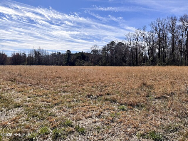 1 Snake Rd, Lumberton, NC 28358