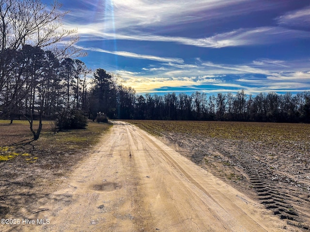 1 Snake Rd, Lumberton, NC 28358