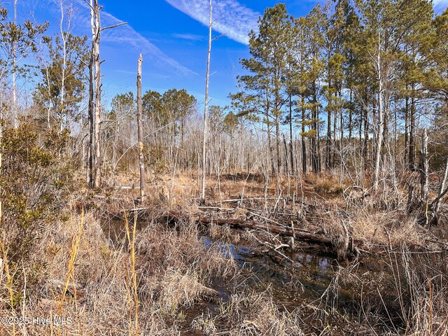 1 Snake Rd, Lumberton, NC 28358