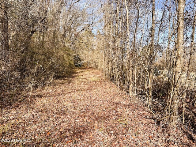 1 Snake Rd, Lumberton, NC 28358