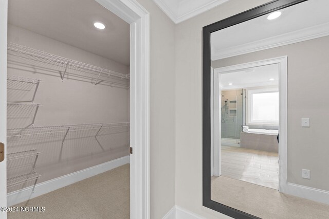 interior space with carpet floors