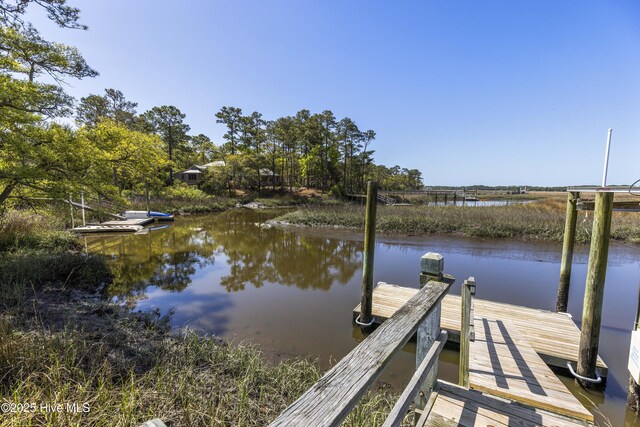 dock area with a water view