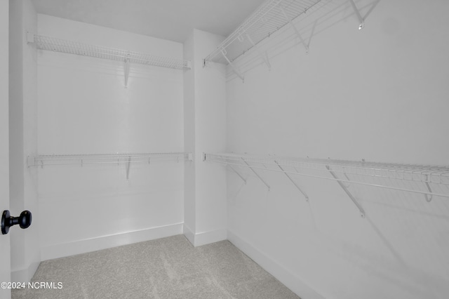 1008 Peace St Lot 69, Leland, NC 28451 - spacious closet with carpet floors