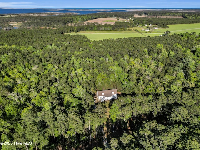 318 Winchester Way, Merritt, NC 28556 - aerial view with a view of trees