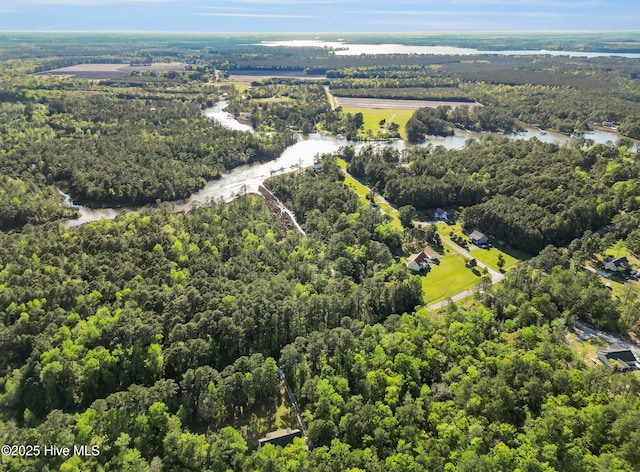 318 Winchester Way, Merritt, NC 28556 - drone / aerial view featuring a forest view and a water view