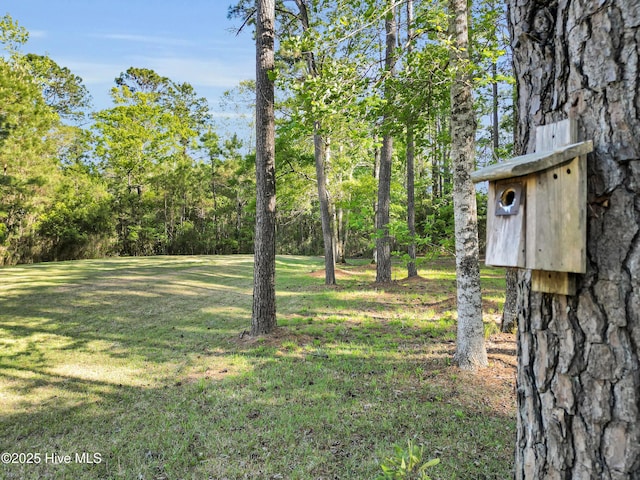 318 Winchester Way, Merritt, NC 28556 - view of yard