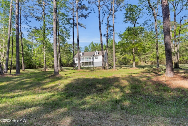 318 Winchester Way, Merritt, NC 28556 - view of yard