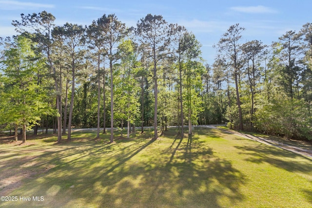 318 Winchester Way, Merritt, NC 28556 - view of yard
