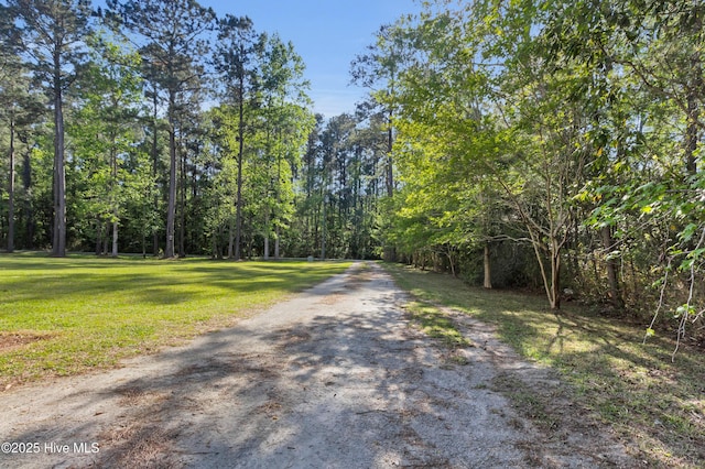 318 Winchester Way, Merritt, NC 28556 - view of street with a forest view