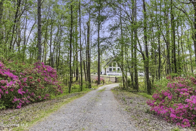 8050 Rachel Wynd Rd NE, Leland, NC 28451 - view of road featuring gravel driveway