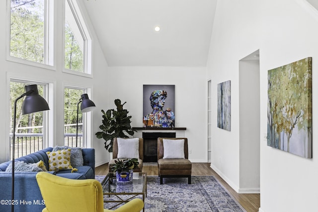 8050 Rachel Wynd Rd NE, Leland, NC 28451 - living area featuring baseboards, recessed lighting, high vaulted ceiling, and wood finished floors