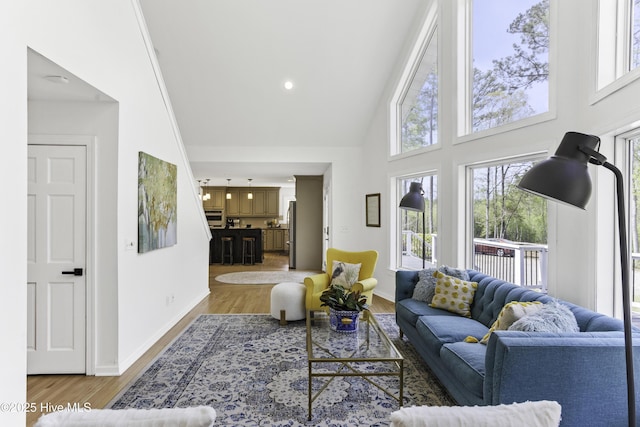 8050 Rachel Wynd Rd NE, Leland, NC 28451 - living area featuring baseboards, wood finished floors, and high vaulted ceiling