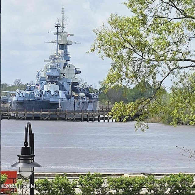 property view of water