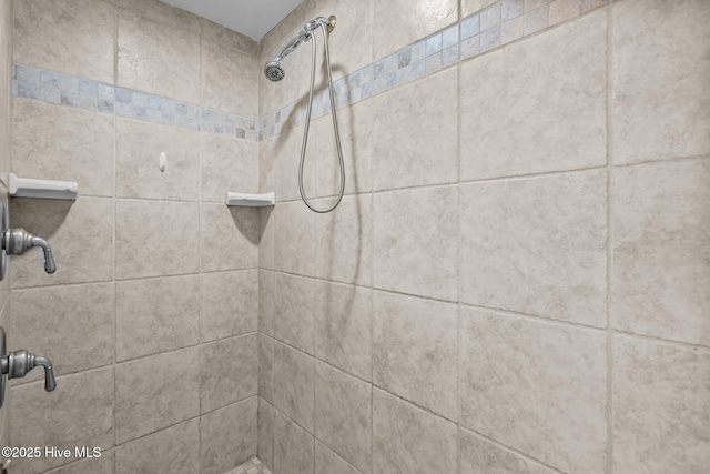 106 N Water Street 205 & 206, Wilmington, NC 28401 - interior details with a tile shower