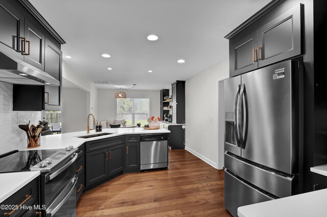 kitchen with a peninsula, wood finished floors, a sink, stainless steel appliances, and backsplash