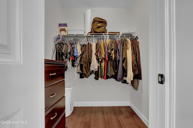 walk in closet featuring wood finished floors