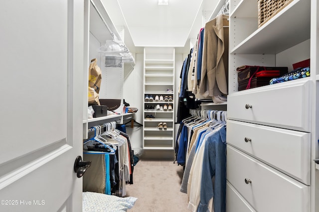 1502 Crows Landing Cir, Wilmington, NC 28403 - spacious closet featuring carpet flooring