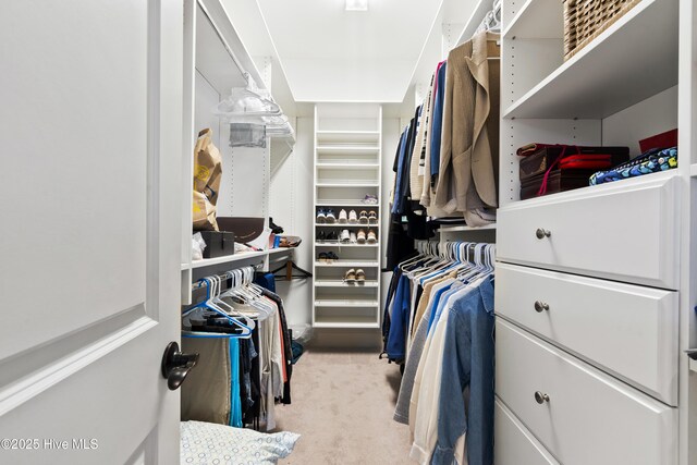 1502 Crows Landing Cir, Wilmington, NC 28403 - spacious closet featuring carpet flooring