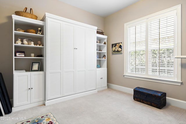 1502 Crows Landing Cir, Wilmington, NC 28403 - view of closet