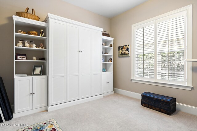 1502 Crows Landing Cir, Wilmington, NC 28403 - view of closet
