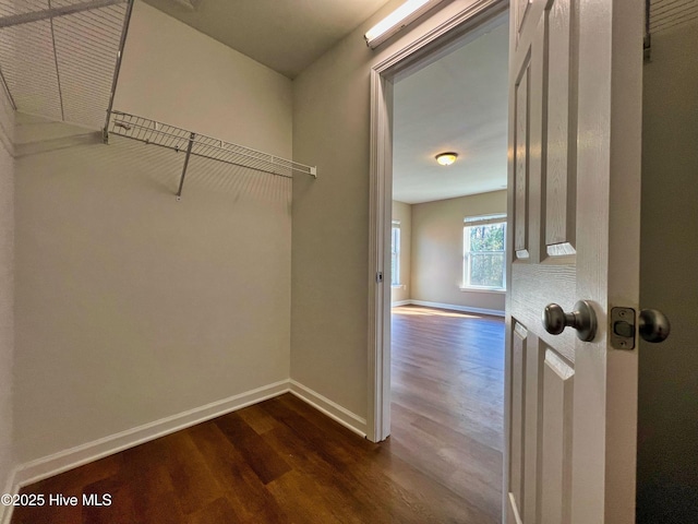 spacious closet featuring dark wood finished floors
