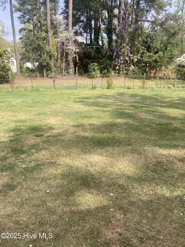 view of yard